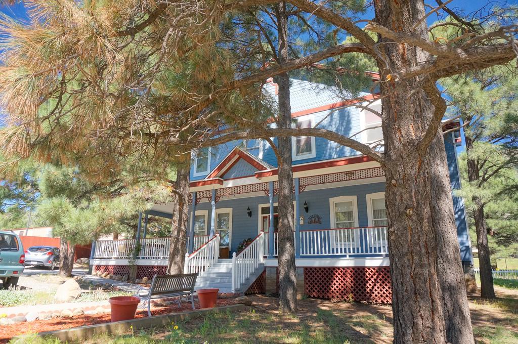 Bed & Breakfast Starlight Pines 3*