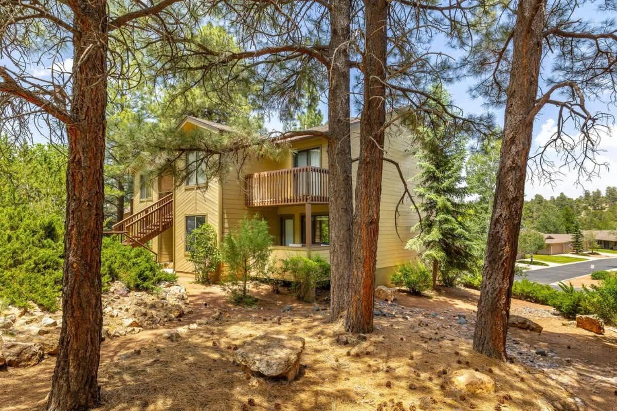 Apartment Mid-century Mtn