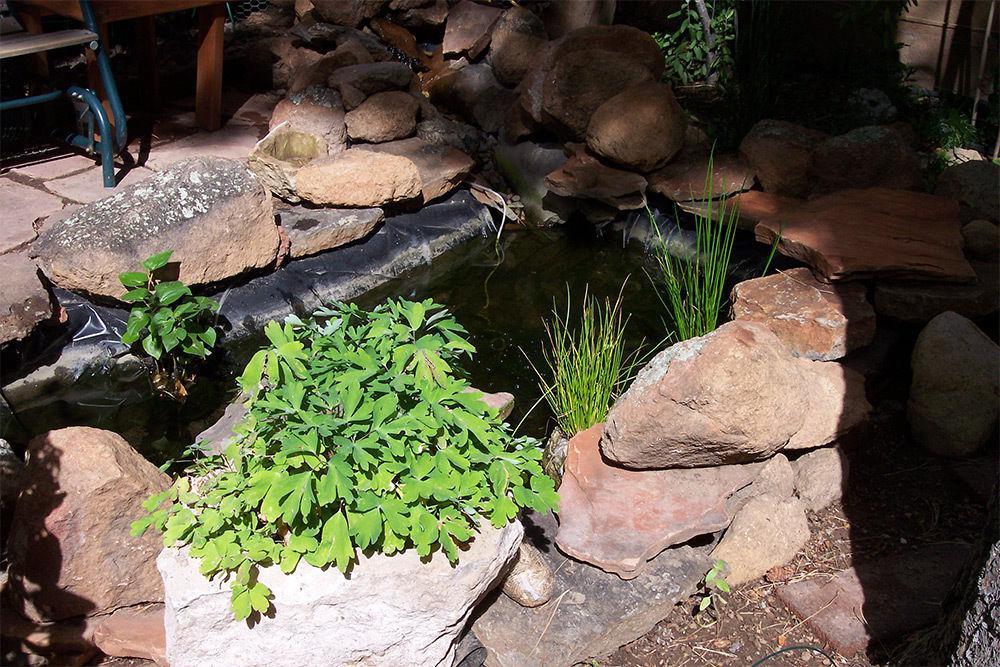 Bed & Breakfast Elden Trails
